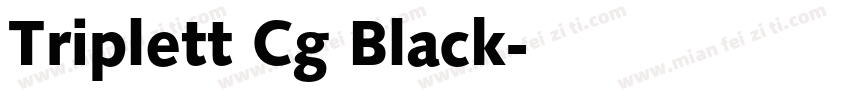 Triplett Cg Black字体转换